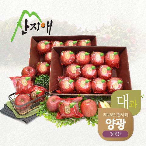 산지애 양광 햇사과 6kg (3kg*2박스, 총 16~24과)