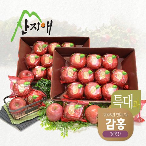 산지애 햇사과 감홍 6kg (3kg*2박스, 총 16~20과)