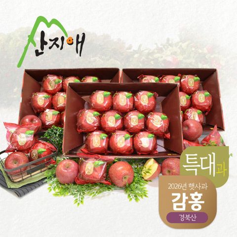 산지애 햇사과 감홍 9kg (3kg*3박스, 총 24~30과)