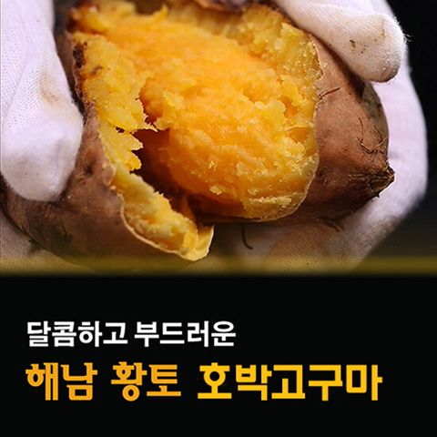 특등급 해남 황토 호박고구마 4 kg x 2박스, 총 8kg