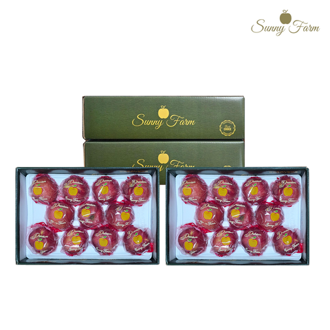 [NH카드5%할인]경북 감홍 세척 사과 (대과) 2.7kg*2박스(과당 250g~375g 내외, 박스당 8~11과)