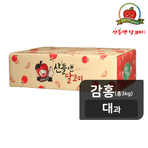[기획한정][감홍/대과] 산들앤 달코미 세척사과 3kg (총1박스)