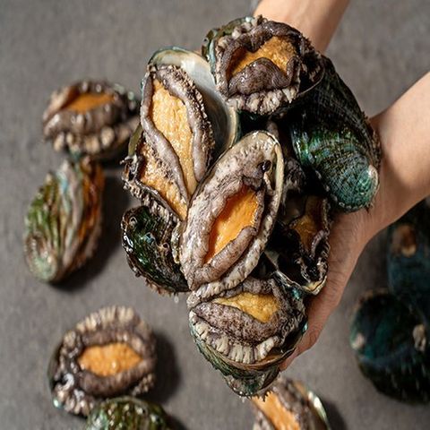 다시마전복수산 완도활전복 대 18미(미당 65~80g)