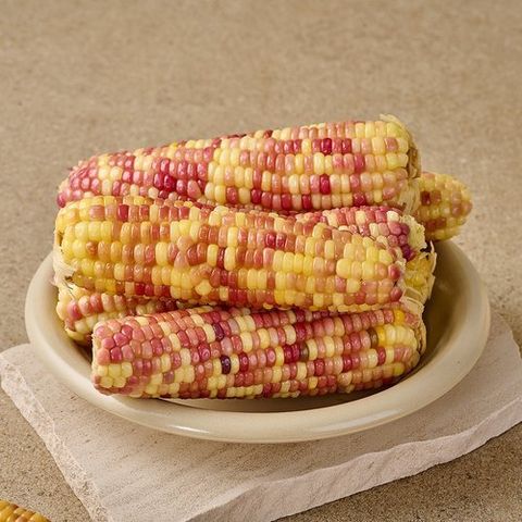 더자인 간편하게 먹는 쫀득쫀득 냉동홍찰옥수수 특대 10입