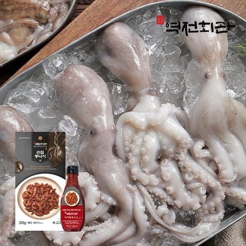 [역전회관]손질통낙지 200gx10팩, 45미 (5미5팩 + 4미5팩) + 낙지볶음소스 1통 320g