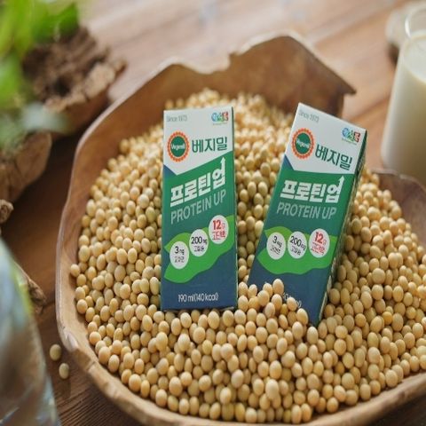 베지밀 프로틴업 고단백 두유 48팩(16팩*3박스)