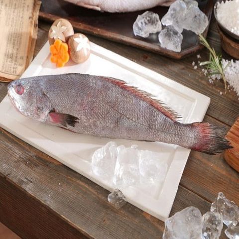 어부수산 (소비기한 26/01/25) 여수 어부수산 국내산 반건조 통민어 총10마리