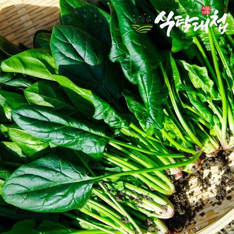 [식탐대첩]식탐대첩 국내산 손질 시금치 1kg 특품