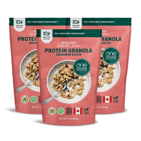 대상웰라이프 원디그리 유기농 시나몬 레이즌 프로틴 그래놀라