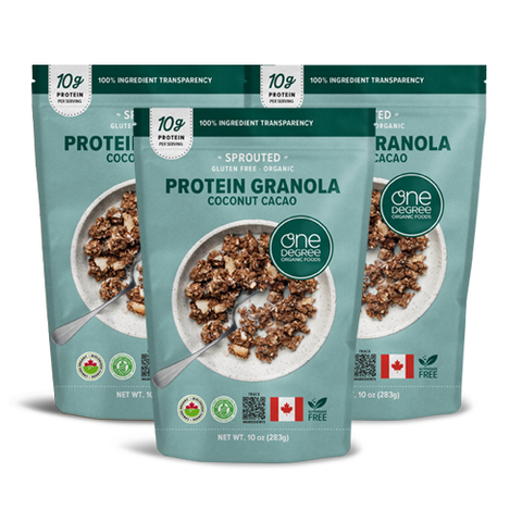 대상웰라이프 원디그리 유기농 코코넛 카카오 프로틴 그래놀라