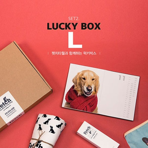 아트박스/펫치 펫치 - 럭키박스 LUCKY BOX - L