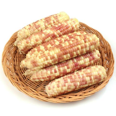 [삼성카드5%할인](m)냉동 홍찰옥수수 특(14-16cm내외) 10개 /2세트 주문시 25개 발송