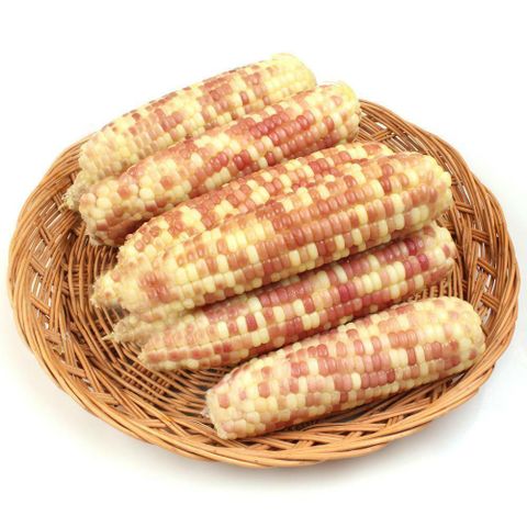 [삼성카드5%할인](m)냉동 홍찰옥수수 특(14-16cm내외) 15개 /2세트 주문시 35개 발송