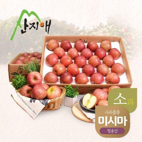 산지애 알뜰 못난이 어린이 사과(소과) 4.5kg 2box / 못난이 흠집사과