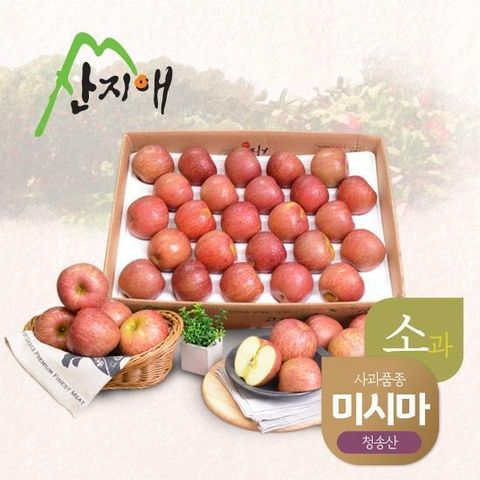산지애 알뜰 못난이 어린이 사과(소과) 4.5kg 1box / 못난이 흠집사과