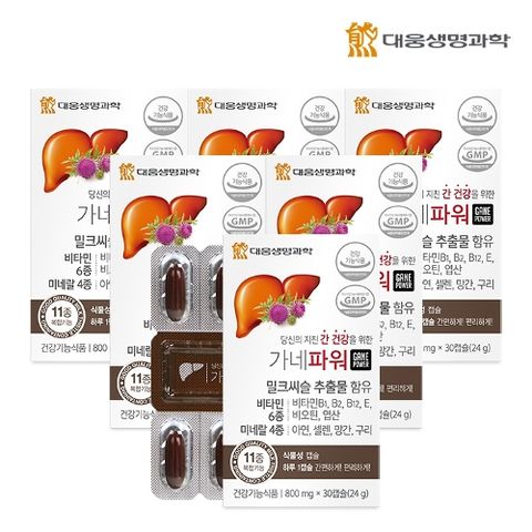 [대웅생명과학] 가네파워(800mgX30캡슐) 6박스/6개월분