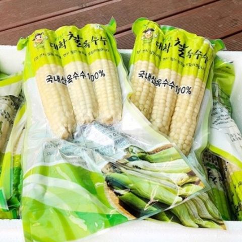 괴산 대학 찰옥수수 15개입