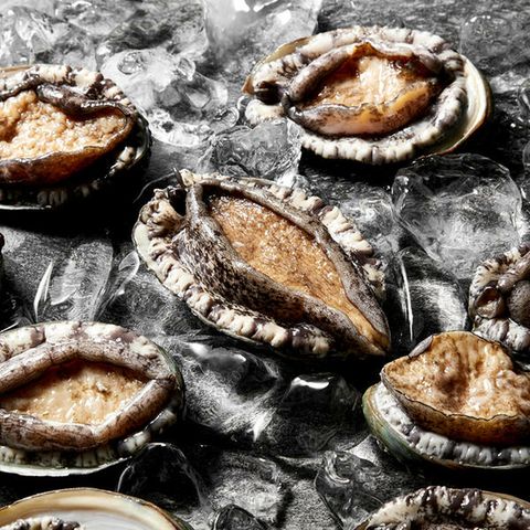 [초특가] 완도활전복_중16미