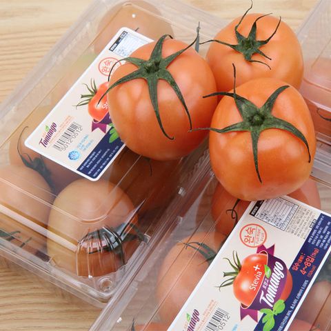 달콤한 스테비아 토망고 1kg
