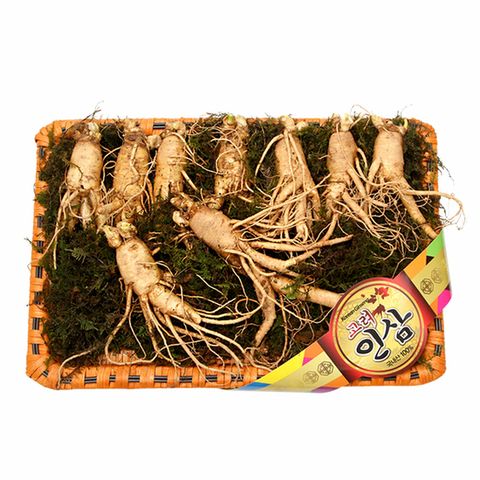 금산 고려인삼 햇수삼 수삼세트 600g (9~10뿌리)