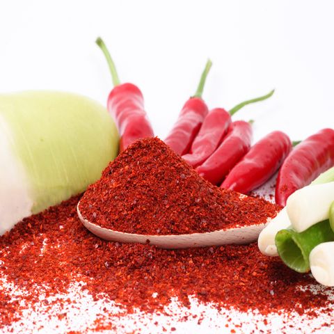 23년 경북영양 태양초 고춧가루 조미용 500g