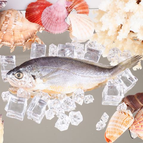 영광굴비 진공포장 2호(30미,19cm내외,2.1kg내외)