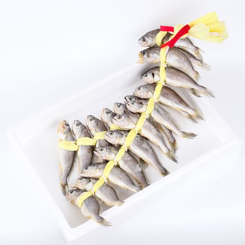 영광굴비 선물1호(20미,19cm내외,1.65kg내외) 선물세트