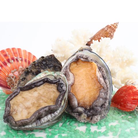 완도 참전복 1kg(12~13미) [1미당 80g~75g]