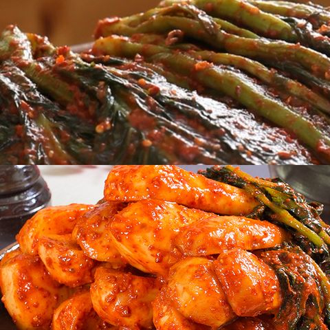 [웰빙촌] HACCP 인증 여수돌산갓김치3kg+알타리김치2kg