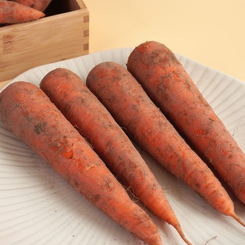 [더조은] 국내산 달큰아삭 당근 3kg (중)