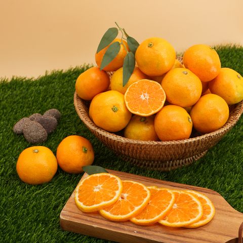 [상생]산지직송 제주 감귤 4.5kg 소과(2S)