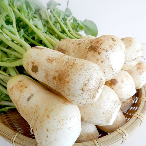 싱싱한 황토 세척 알타리무/초롱무 5kg(3단내외)