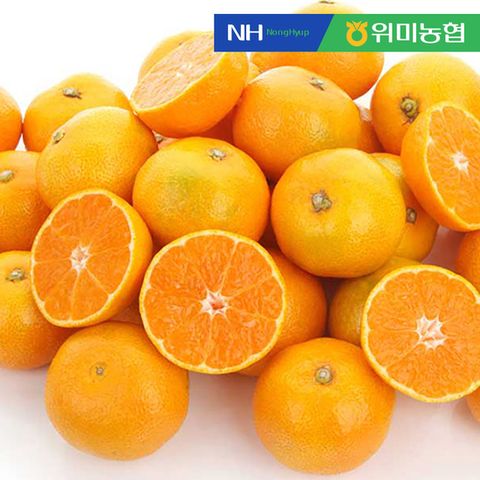 [위미농협] 문주왕 당도선별 농협 제주 감귤 10kg