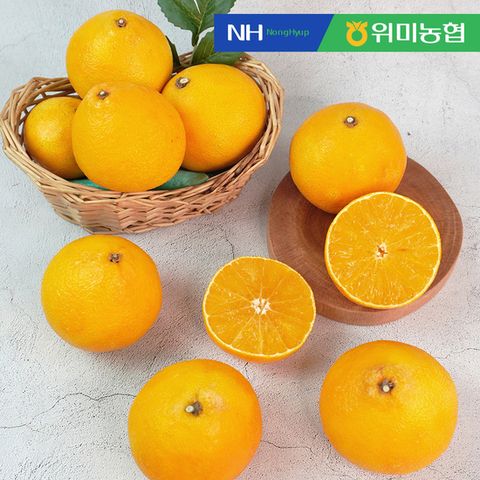 [상생][위미농협] 제주직송 황금향 선물세트 5kg (15-27과)