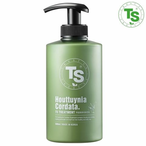 TS 어성초 트리트먼트 500ml 1개