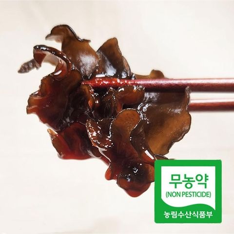 [K][버섯농부] 국내산 무농약 생 목이버섯 500g