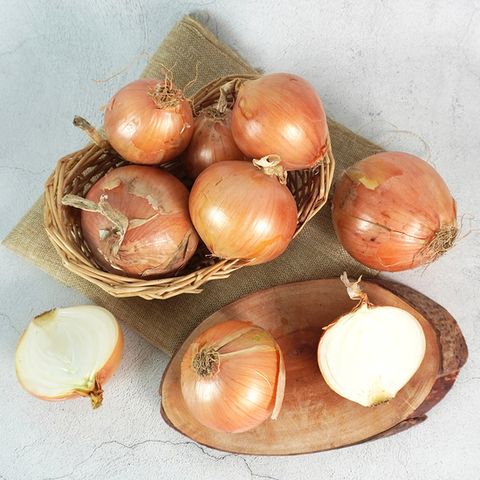 [더조은] 전남무안 싱싱 햇 양파 소 5kg