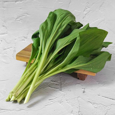 [더조은] 강원도 정선 고랭지 명이나물 2kg