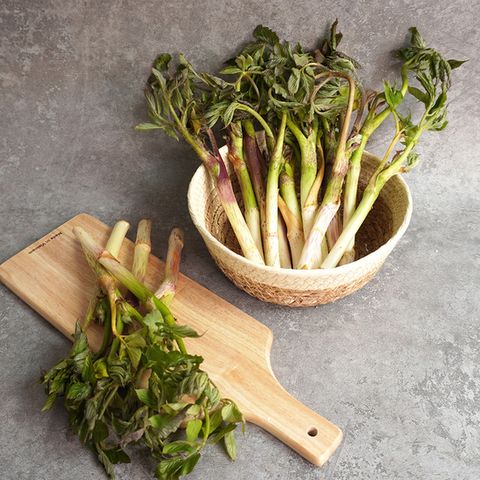 [더조은] 국내산 땅두릅 500g