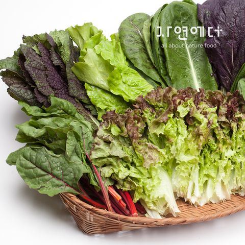 충주 친환경 유기농 쌈채소 600g