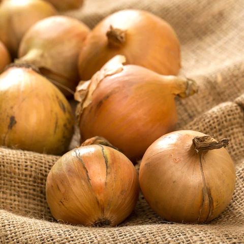 [더조은] 달큰한 무안 일반양파 5kg (중대혼합)