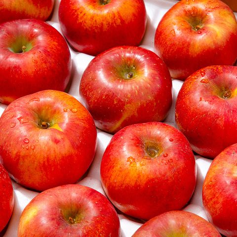 [더조은] 아리수 사과 가정용 3kg 19-21과