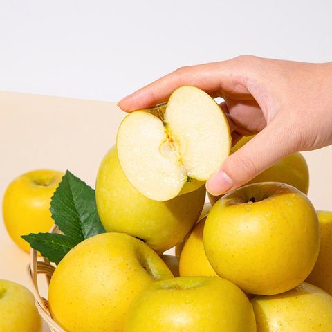 황금사과 시나노골드 가정용 3kg 11-13과