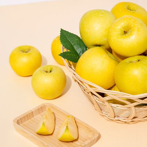 황금사과 시나노골드 가정용 3kg 19-21과