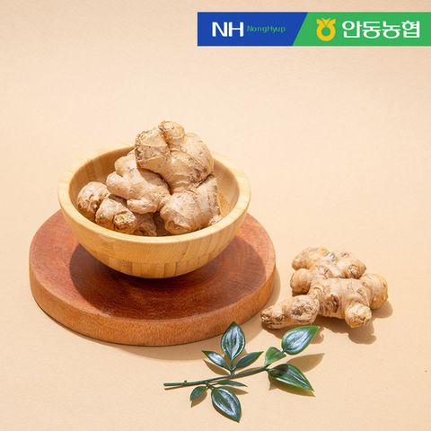 [안동농협] 품질보장 농협 흙 생강2kg