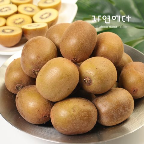 농협과일 국내산 골드키위 2kg 24과내
