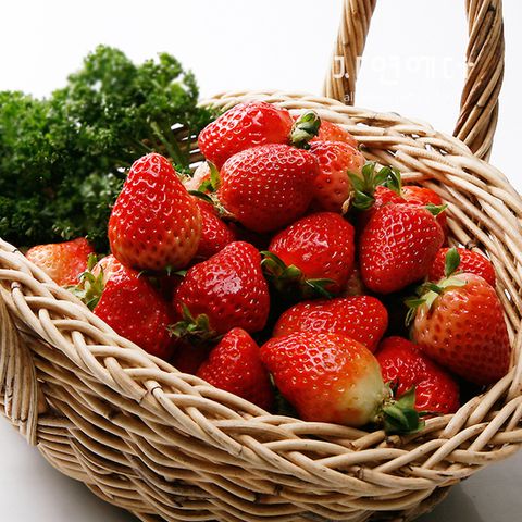 지금이제철 맛있을때 수확한 설향딸기 400g