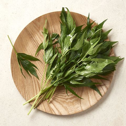 [새벽배송][우리가락]당귀잎 100g