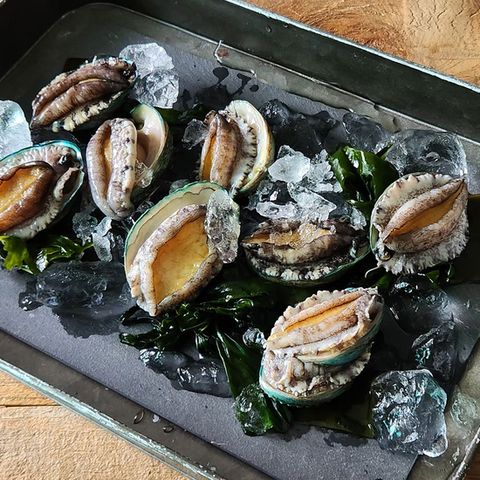 완도 한입 활전복 1kg
