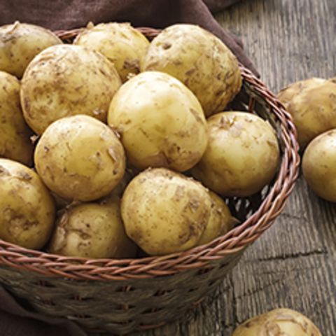 국내산 포슬포슬 햇 수미감자 5kg 대(90~130g 내외)